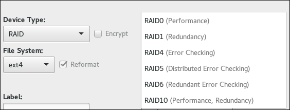 The Manual Partitioning screen