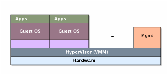 virtualization para